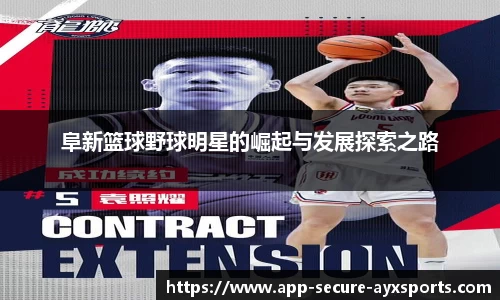AYX爱游戏